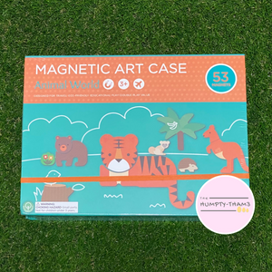 Magnetic Art Case